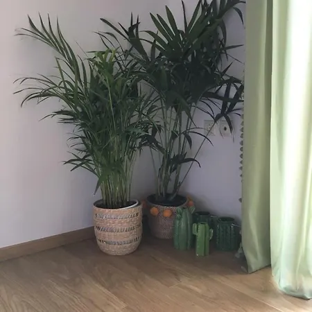 Apartment Olive Tree 2 *
